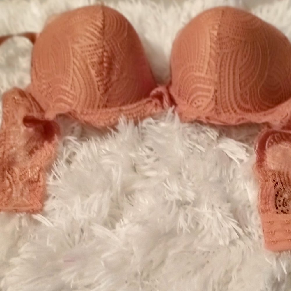 NWT SECRET LACE BRA